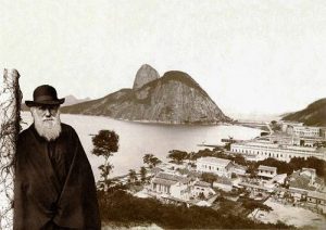 Darwin velho na velha Rio de Janeiro