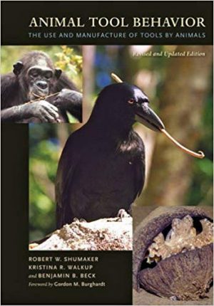 Animal Tool Behavior book