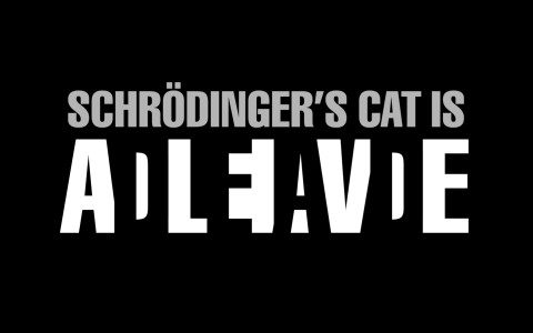 gato de schroedinger