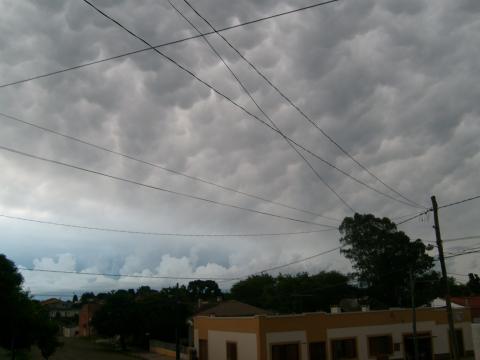 mammatus bage