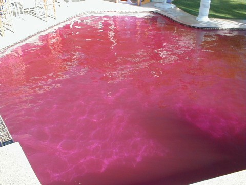 piscina agua corante vermelho