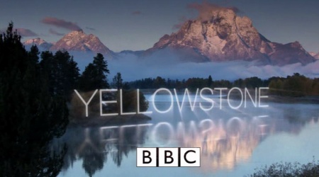 yellowstone logotipo