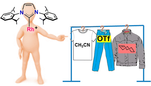 escolhendo roupa química