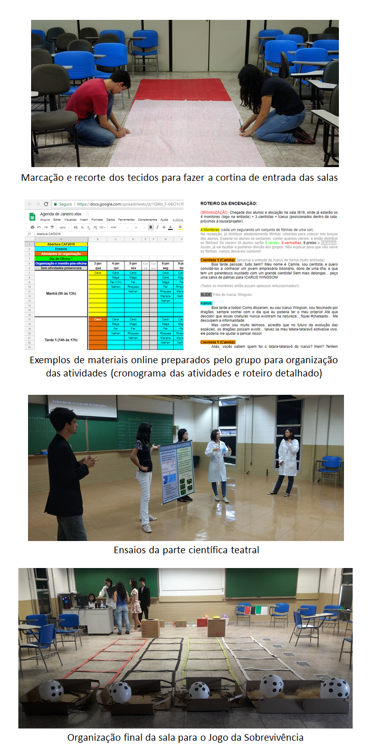 Seleção de fotos dos preparativos da oficina