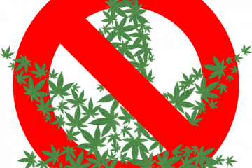 Ícone de uma folha de cannabis de sete pontas formada por mini folhas verdes de cannabis, sobre a qual há um círculo vermelho com uma tarja ao meio na diagonal, simbolizando proibição.