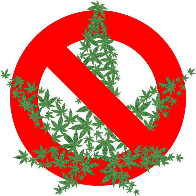 Ícone de uma folha de cannabis de sete pontas formada por mini folhas verdes de cannabis, sobre a qual há um círculo vermelho com uma tarja ao meio na diagonal, simbolizando proibição.