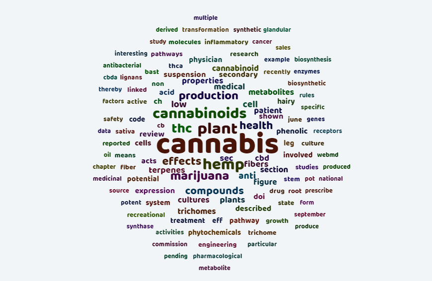 Nuvem de palavras coloridas. No centro, lê-se o termo “cannabis” e em seu entorno as palavras mais destacadas são “plant”, “hemp”, “cannabinoids”, “effect”, “health”, “production”, “marijuana”.