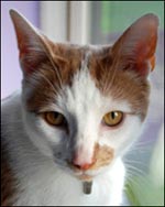 20091014_george.jpg