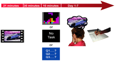 20101116_tetris-exp.png