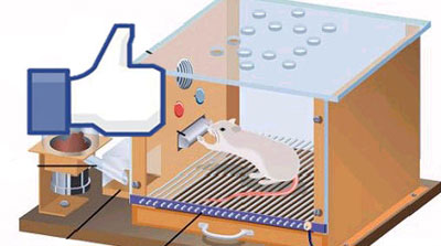 20110616_facebook.jpg