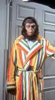 20111807_apes.jpg