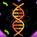 Gene&Love