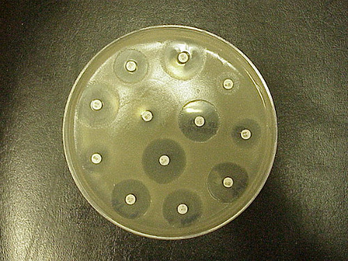 Antibióticos e a falta de controle