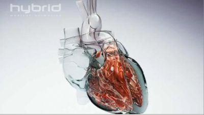 Coração de vidro