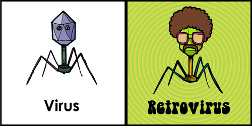 retrovirus.jpg