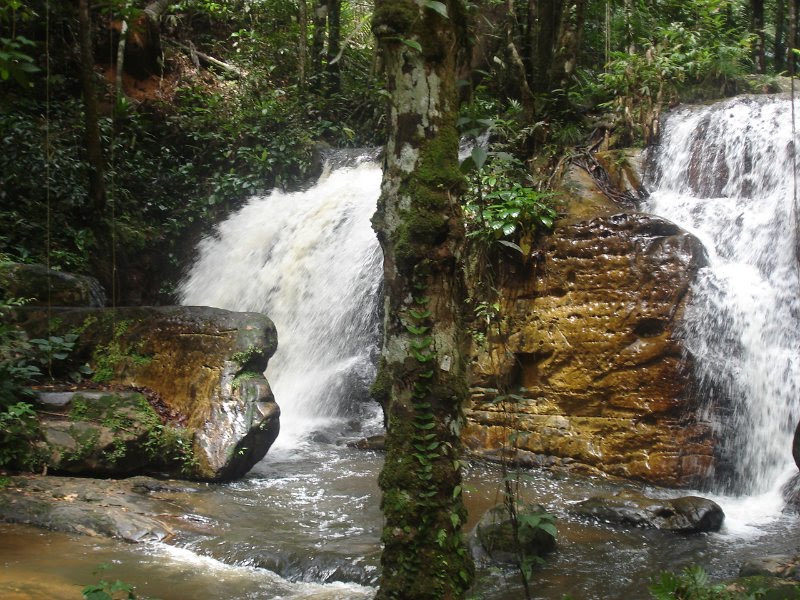 cachoeira_onca.jpg