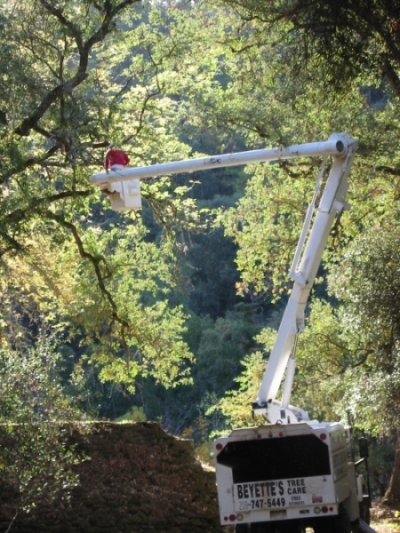 tree_trimming_truck.jpg