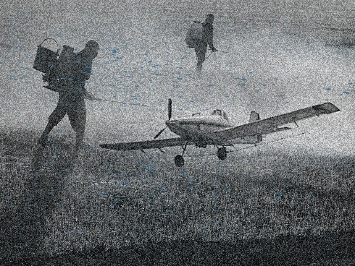 Sobreposição de fotos: duas pessoas aplicando veneno em plantação usando trajes de segurança, e avião pequeno pulverizando veneno. Arte por Clorofreela.