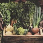 Fotografia de uma pessoa segurando verduras e legumes em uma caixa de madeira. Elementos Canva Pro; arte por Clorofreela.