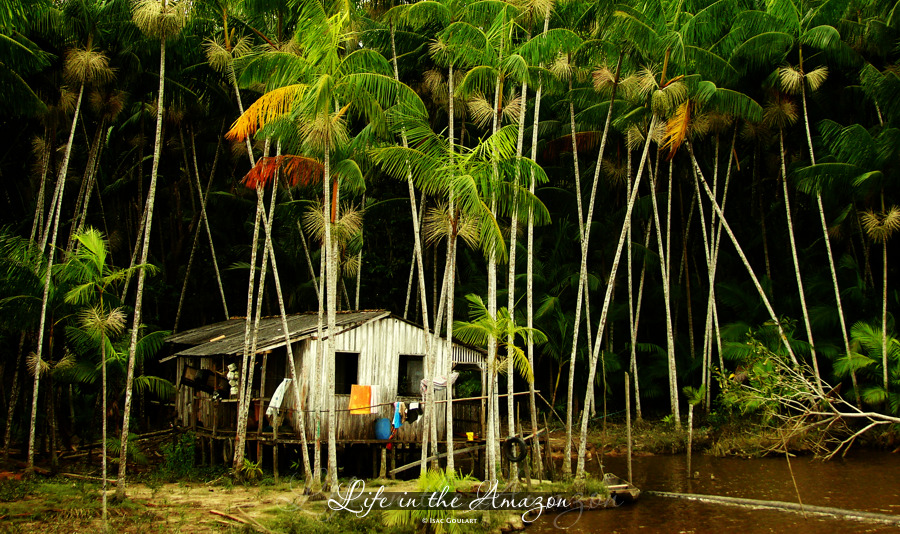 Pérolas do ENEM – Amazônia