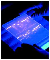 biol_02_img0140.jpg
