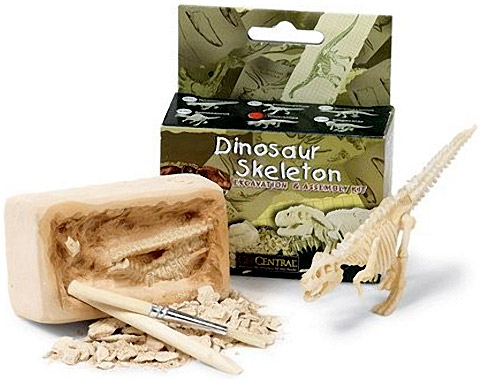 esqueleto-dinossauro-kit-01.jpg