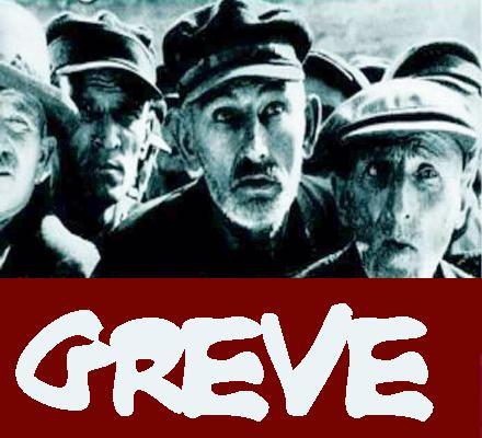 greve11.jpg