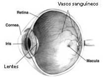 DMRI: vilão da Terceira Idade.