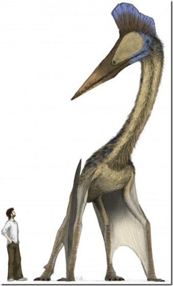 pterodactilo