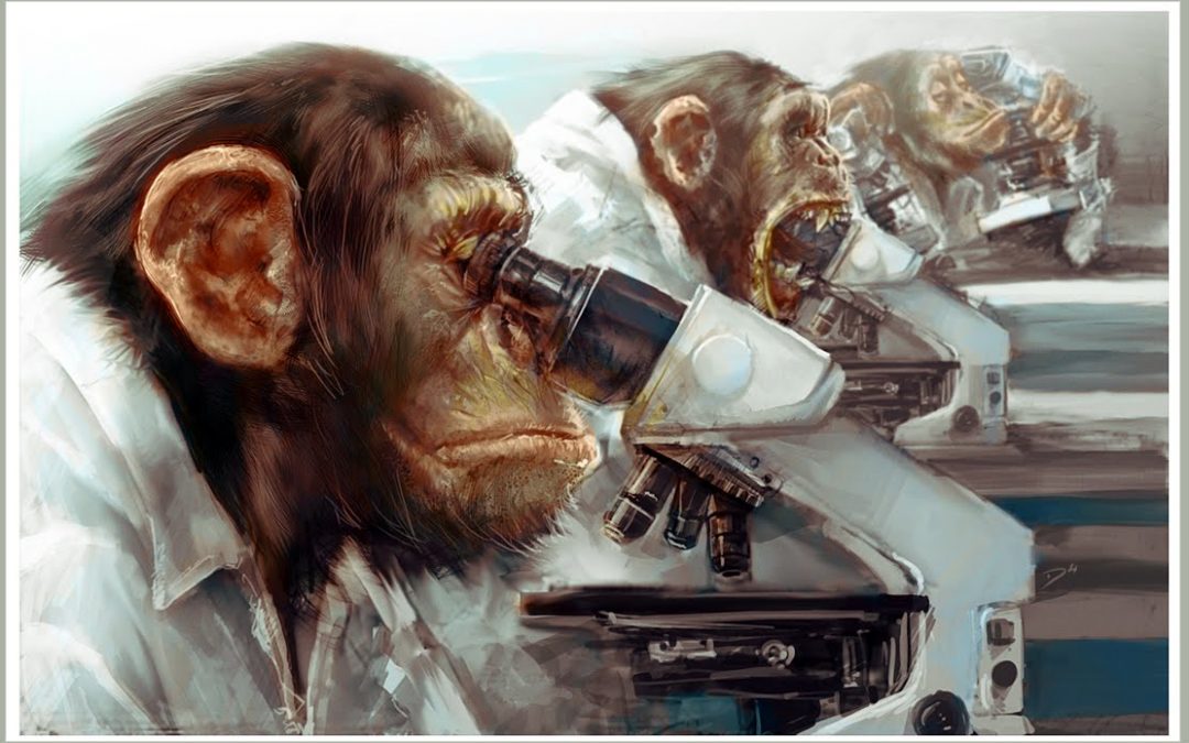 Como um doutor em biologia pode ser anti-Darwin?