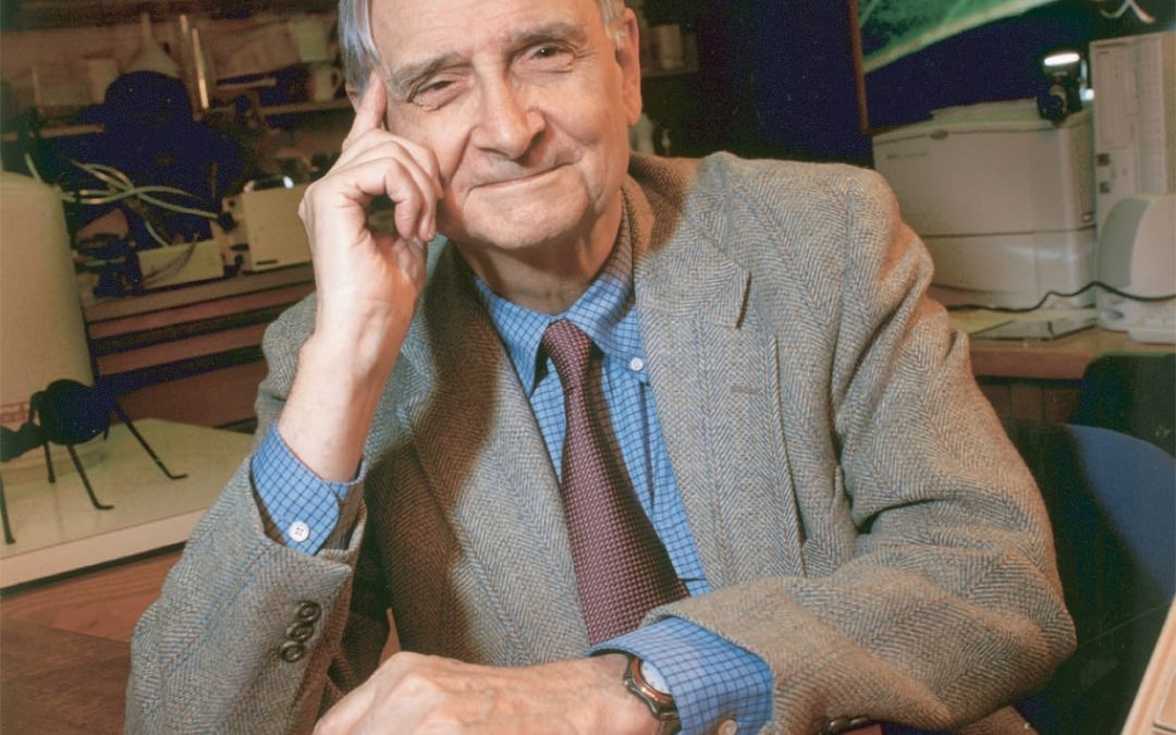 Discordando de E.O. Wilson (pode?!)