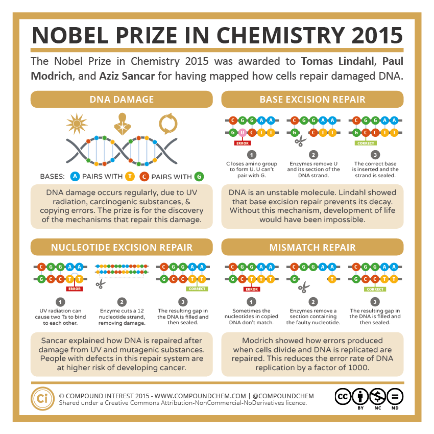 2015-Nobel-Prize-in-Chemistry