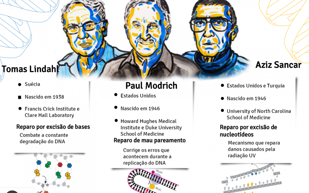 Nobel de química 2015 em infográficos