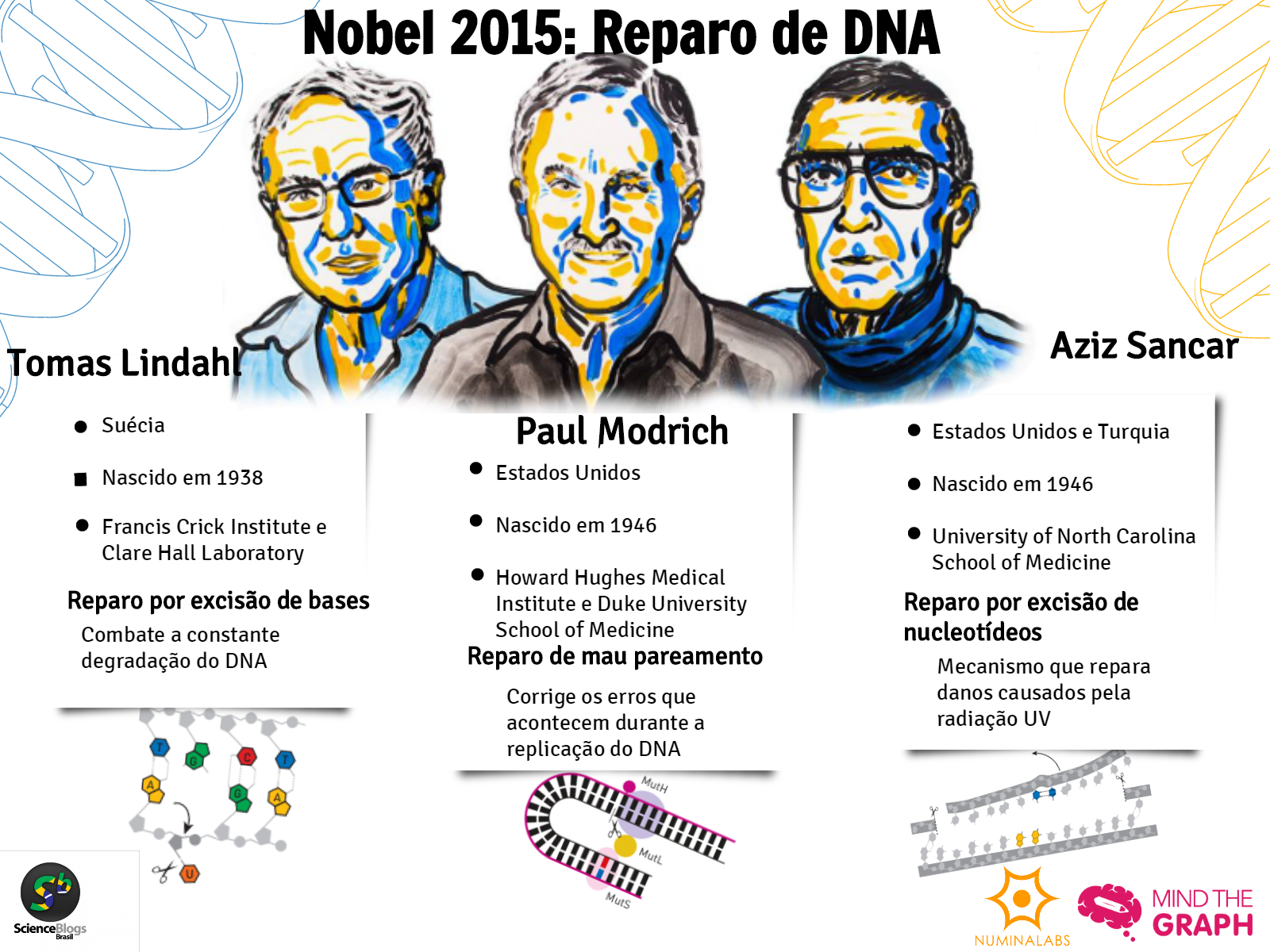 Nobel de química 2015 em infográficos