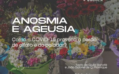 Anosmia e ageusia