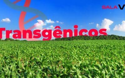 Transgênicos – De gene e de louco todo mundo tem um pouco