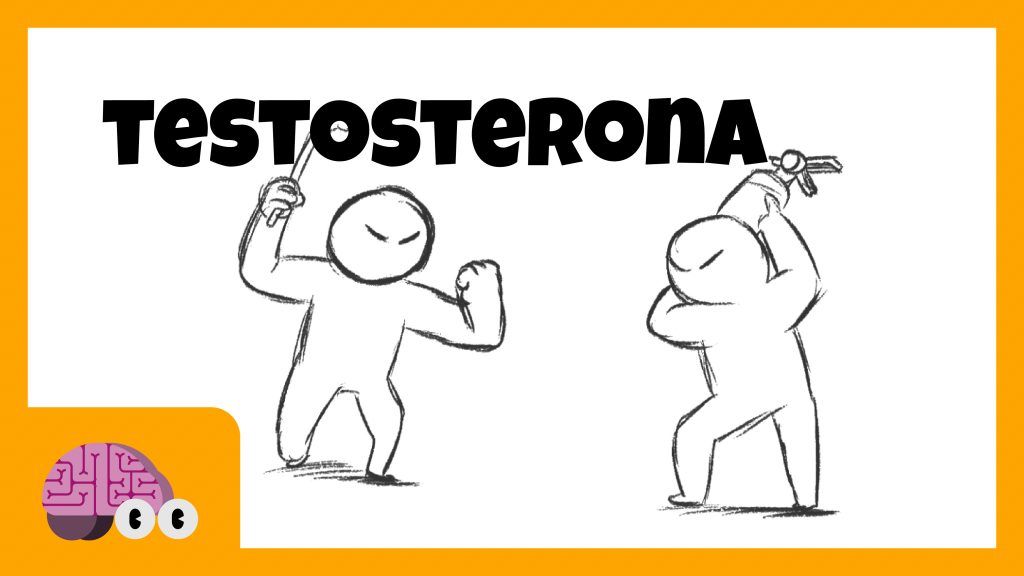 219_thumb_testosterona