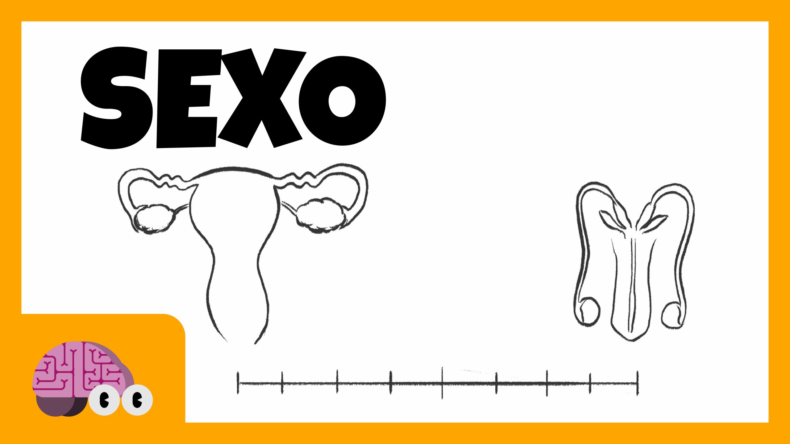 O que determina o sexo biológico de alguém? (vídeo) SocialMenteSocialMente