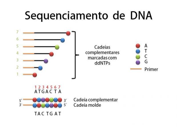 Sequenciamento de DNA
