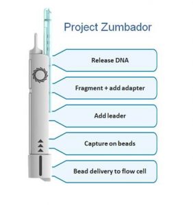 nanopore6