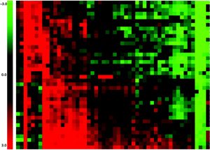 variações de nível em verde e vermelho