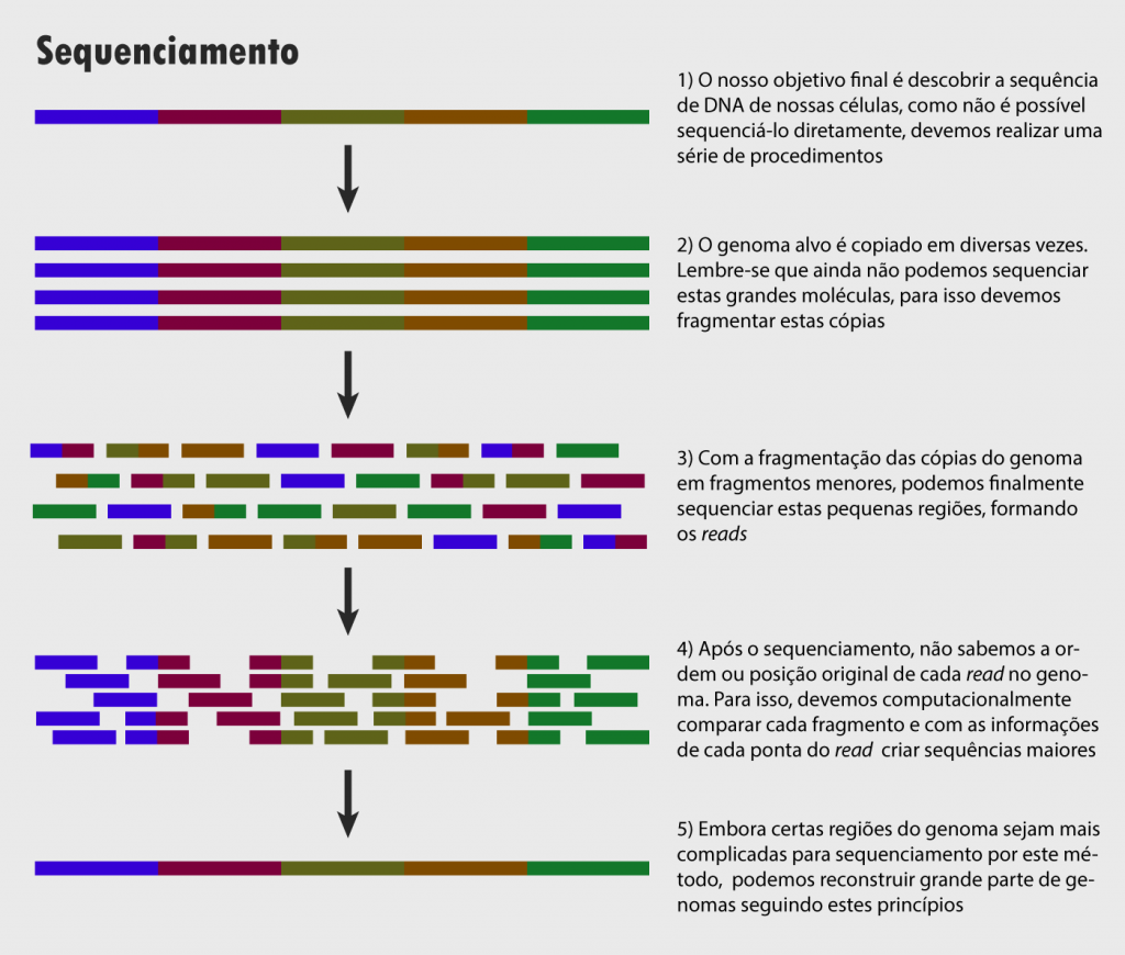 human_genome_sequencing