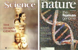 Capas das revistas científica Science e Nature (2001), referentes ao "rascunho" do genoma humano.
