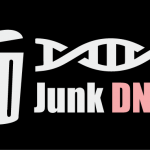 Junk DNA?