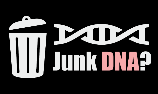 Junk DNA?