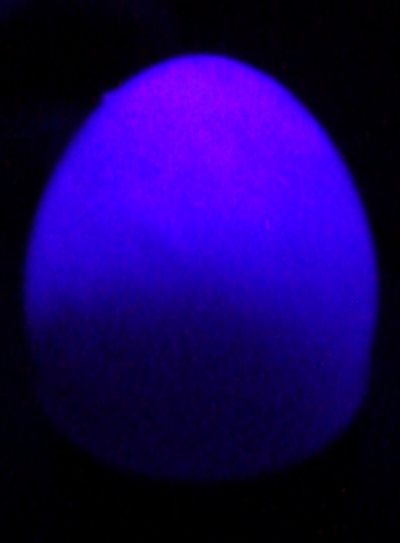 ovo azul.jpg