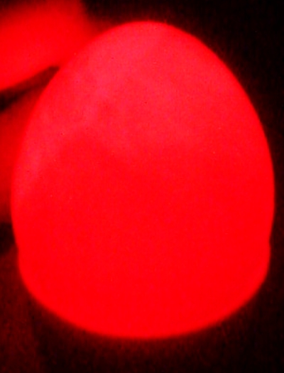 ovo vermelho.jpg