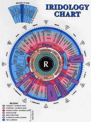 Iridologia_right.jpg