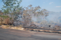 Veja o Cerrado ameaçado pelo fogo