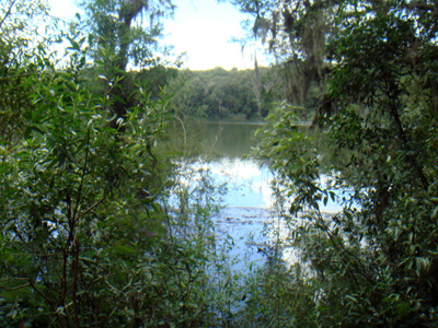 Por que a Lagoa Dourada é dessa cor?